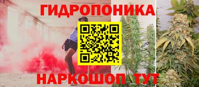 молекула духа Донецк