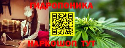 молекула духа Донецк